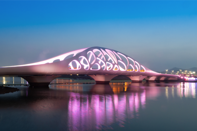 青岛珊瑚贝桥夜景2.png