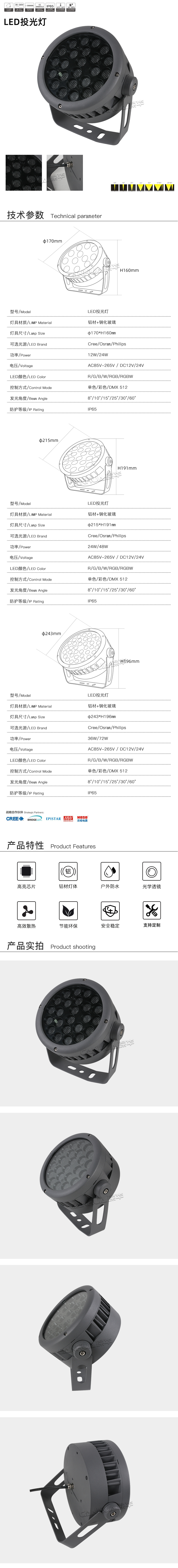 网站详情.jpg