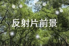 使决策目标得以顺利实现