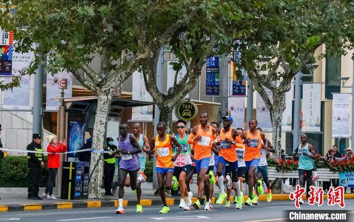 2024上海马拉松实现结构突破 首次将竞速轮椅马拉